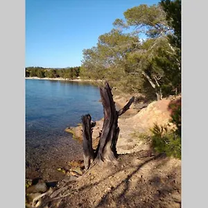 Face Entre Et Marina Bormes-les-Mimosas